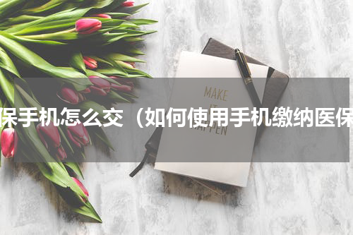 医保手机怎么交（如何使用手机缴纳医保）