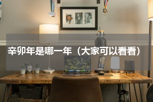 辛卯年是哪一年（大家可以看看）