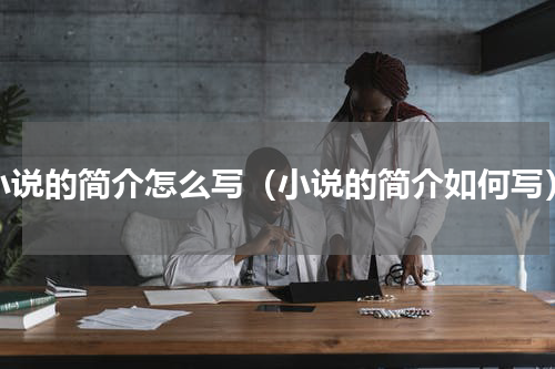 小说的简介怎么写（小说的简介如何写）