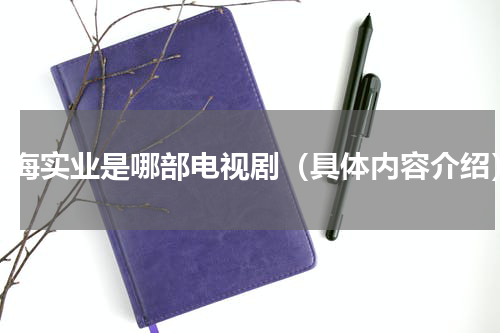 荣海实业是哪部电视剧（具体内容介绍）