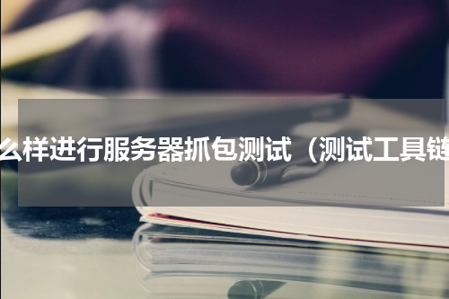 怎么样进行服务器抓包测试（测试工具链）