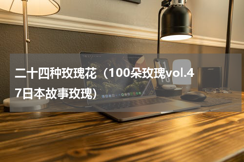 二十四种玫瑰花（100朵玫瑰vol.47日本故事玫瑰）