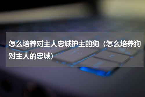 怎么培养对主人忠诚护主的狗（怎么培养狗对主人的忠诚）