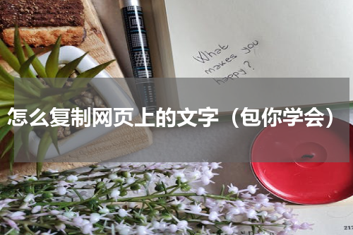 怎么复制网页上的文字（包你学会）