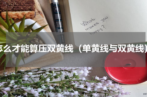 怎么才能算压双黄线（单黄线与双黄线）