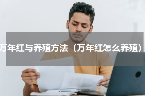 万年红与养殖方法（万年红怎么养殖）