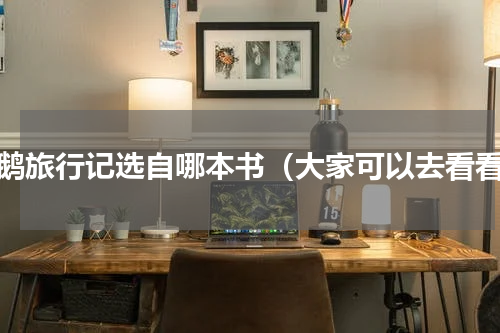 骑鹅旅行记选自哪本书（大家可以去看看）