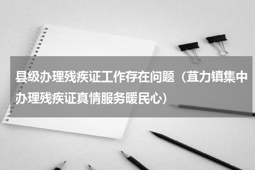 县级办理残疾证工作存在问题（苴力镇集中办理残疾证真情服务暖民心）
