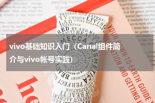 vivo基础知识入门（Canal组件简介与vivo帐号实践）