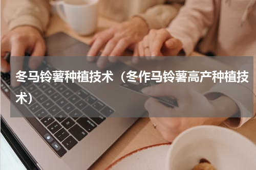 冬马铃薯种植技术（冬作马铃薯高产种植技术）