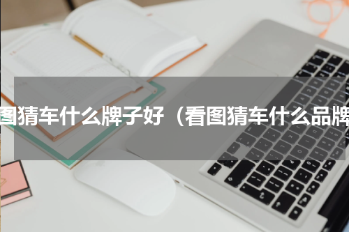 看图猜车什么牌子好（看图猜车什么品牌）