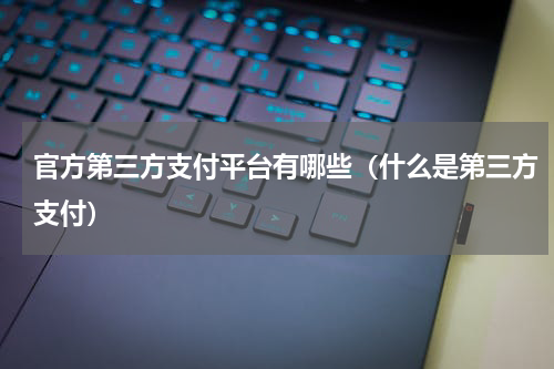 官方第三方支付平台有哪些（什么是第三方支付）