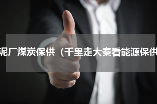 水泥厂煤炭保供（千里走大秦看能源保供）