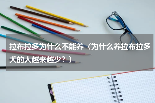 拉布拉多为什么不能养（为什么养拉布拉多犬的人越来越少？）