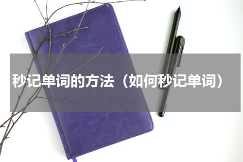 秒记单词的方法（如何秒记单词）