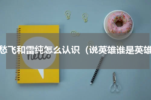 白愁飞和雷纯怎么认识（说英雄谁是英雄）