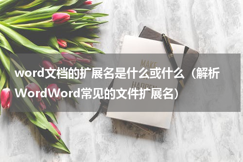 word文档的扩展名是什么或什么（解析WordWord常见的文件扩展名）