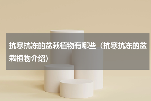 抗寒抗冻的盆栽植物有哪些（抗寒抗冻的盆栽植物介绍）