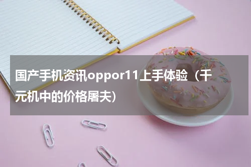 国产手机资讯oppor11上手体验（千元机中的价格屠夫）