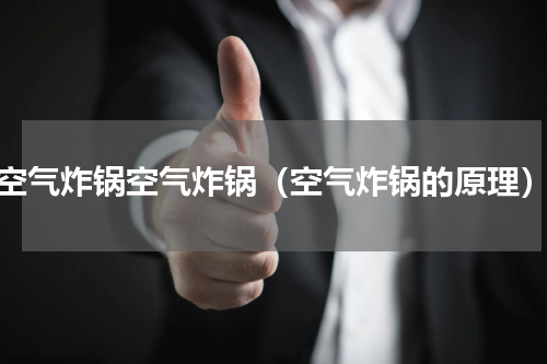 空气炸锅空气炸锅（空气炸锅的原理）