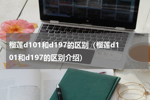 榴莲d101和d197的区别（榴莲d101和d197的区别介绍）