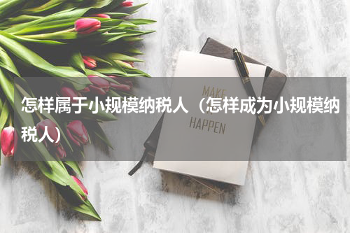 怎样属于小规模纳税人（怎样成为小规模纳税人）