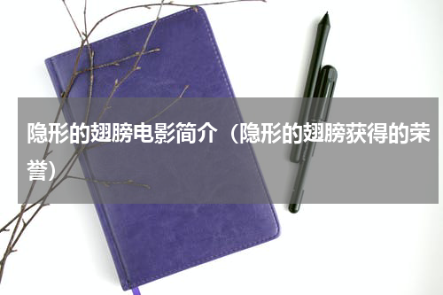 隐形的翅膀电影简介（隐形的翅膀获得的荣誉）
