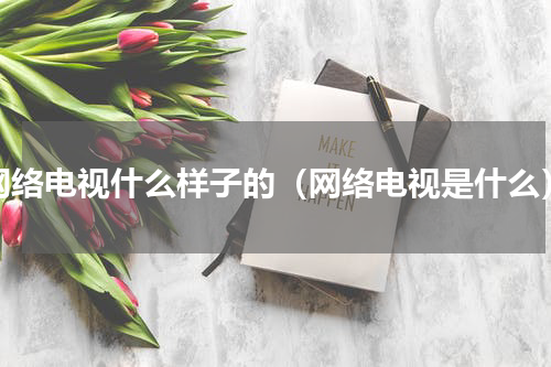 网络电视什么样子的（网络电视是什么）