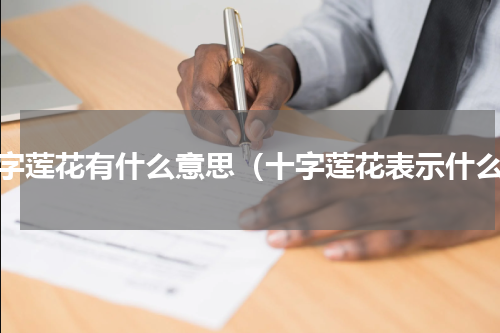 十字莲花有什么意思（十字莲花表示什么）