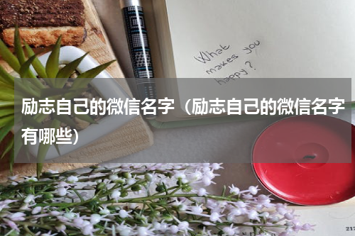 励志自己的微信名字（励志自己的微信名字有哪些）