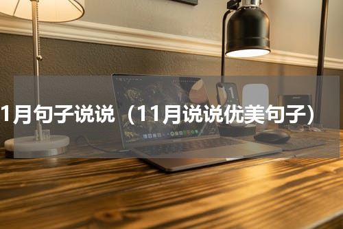11月句子说说（11月说说优美句子）