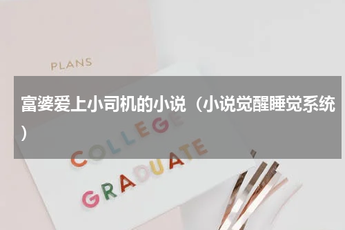 富婆爱上小司机的小说（小说觉醒睡觉系统）