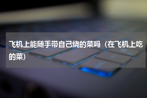 飞机上能随手带自己烧的菜吗（在飞机上吃的菜）