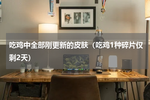 吃鸡中全部刚更新的皮肤（吃鸡1种碎片仅剩2天）