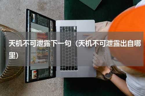 天机不可泄露下一句（天机不可泄露出自哪里）
