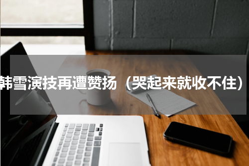 韩雪演技再遭赞扬（哭起来就收不住）