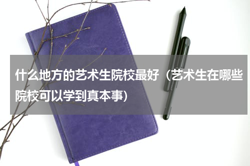 什么地方的艺术生院校最好（艺术生在哪些院校可以学到真本事）
