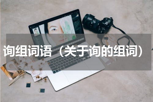 询组词语（关于询的组词）