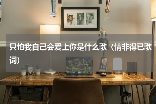 只怕我自己会爱上你是什么歌（情非得已歌词）