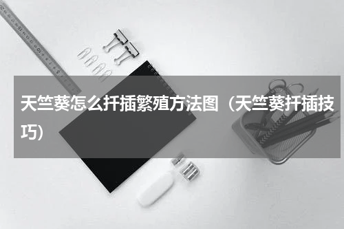 天竺葵怎么扦插繁殖方法图（天竺葵扦插技巧）