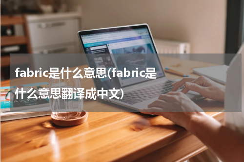 fabric是什么意思(fabric是什么意思翻译成中文)