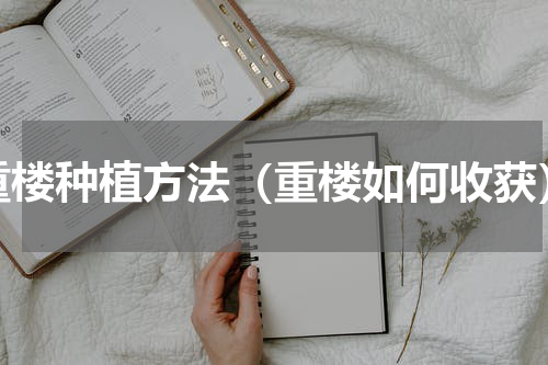 重楼种植方法（重楼如何收获）