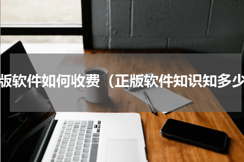 正版软件如何收费（正版软件知识知多少）