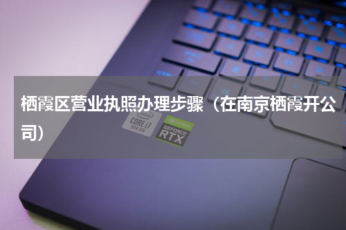 栖霞区营业执照办理步骤（在南京栖霞开公司）