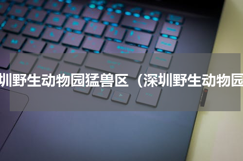 深圳野生动物园猛兽区（深圳野生动物园）