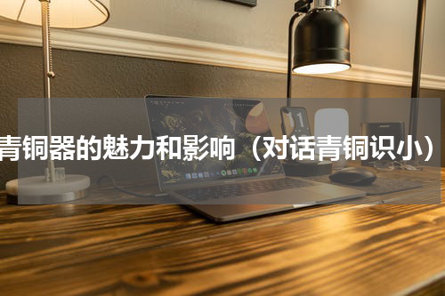 青铜器的魅力和影响（对话青铜识小）