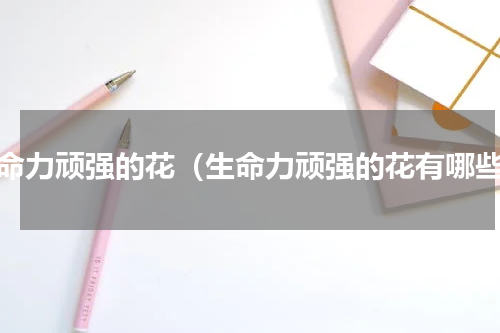 生命力顽强的花（生命力顽强的花有哪些）