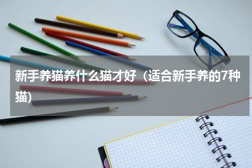 新手养猫养什么猫才好（适合新手养的7种猫）