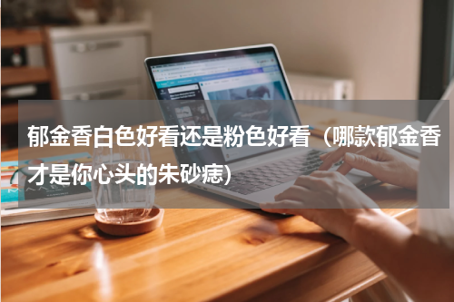 郁金香白色好看还是粉色好看（哪款郁金香才是你心头的朱砂痣）