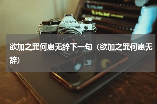 欲加之罪何患无辞下一句（欲加之罪何患无辞）